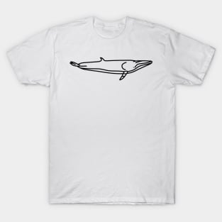 Minke Whale T-Shirt